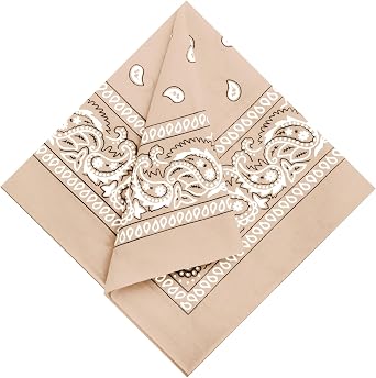 Muka 9 Pieces Paisley Bandanas Necktie Headband Pocket Square Handkerchiefs Scarf Costume, 21" x 21"