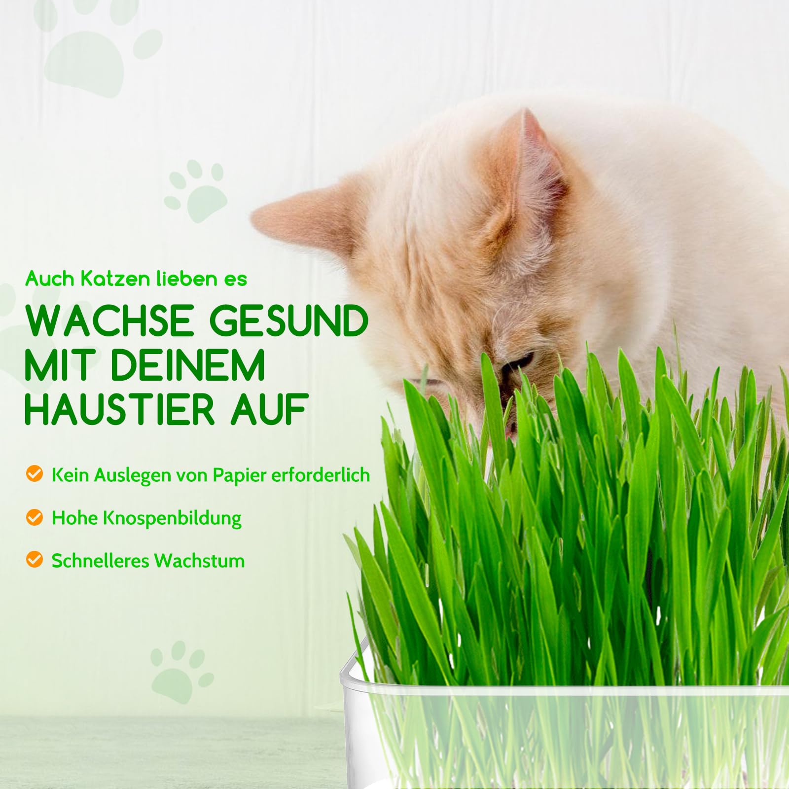 Boîte de germination à 4 étages avec couvercle et bac de récupération | Sprossen Germinateur empilable pour microgreens, pousses de haricots, alfalfa, cresse, herbe de blé, brocoli et haricots Mung