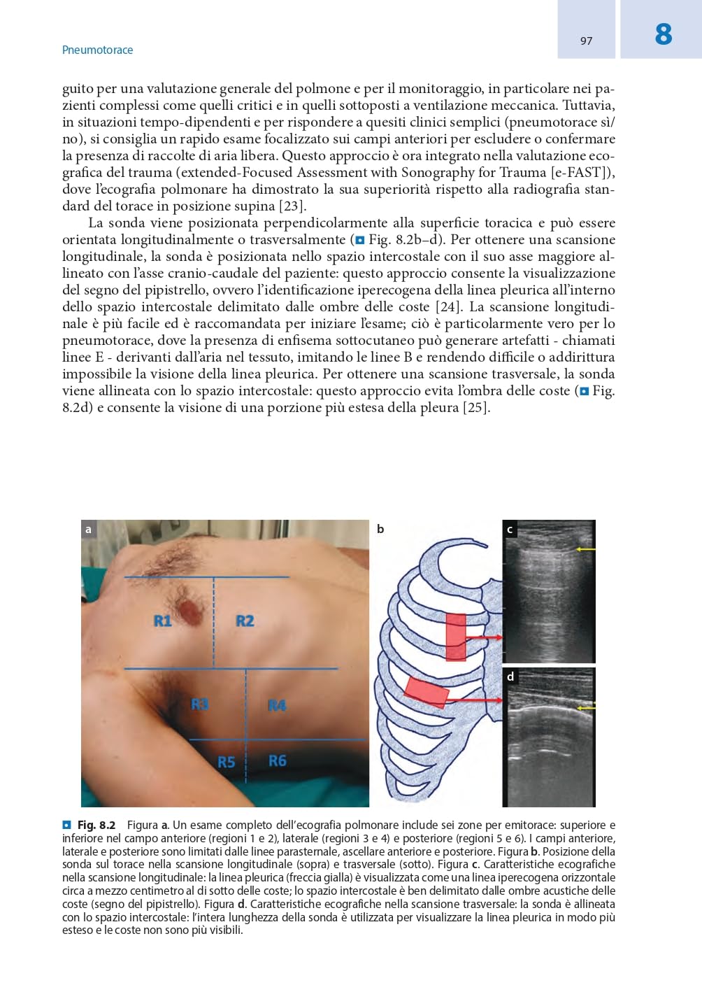 Competenze ecografiche di base per intensivisti