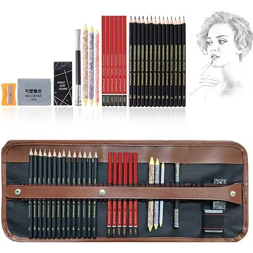 Heshengping Drawing Pencils Sketch Pencil Art Supplies Set for Kids Adults beginners Professional Sketching Art Graphite Charcoal Blending Stump Pencils kit