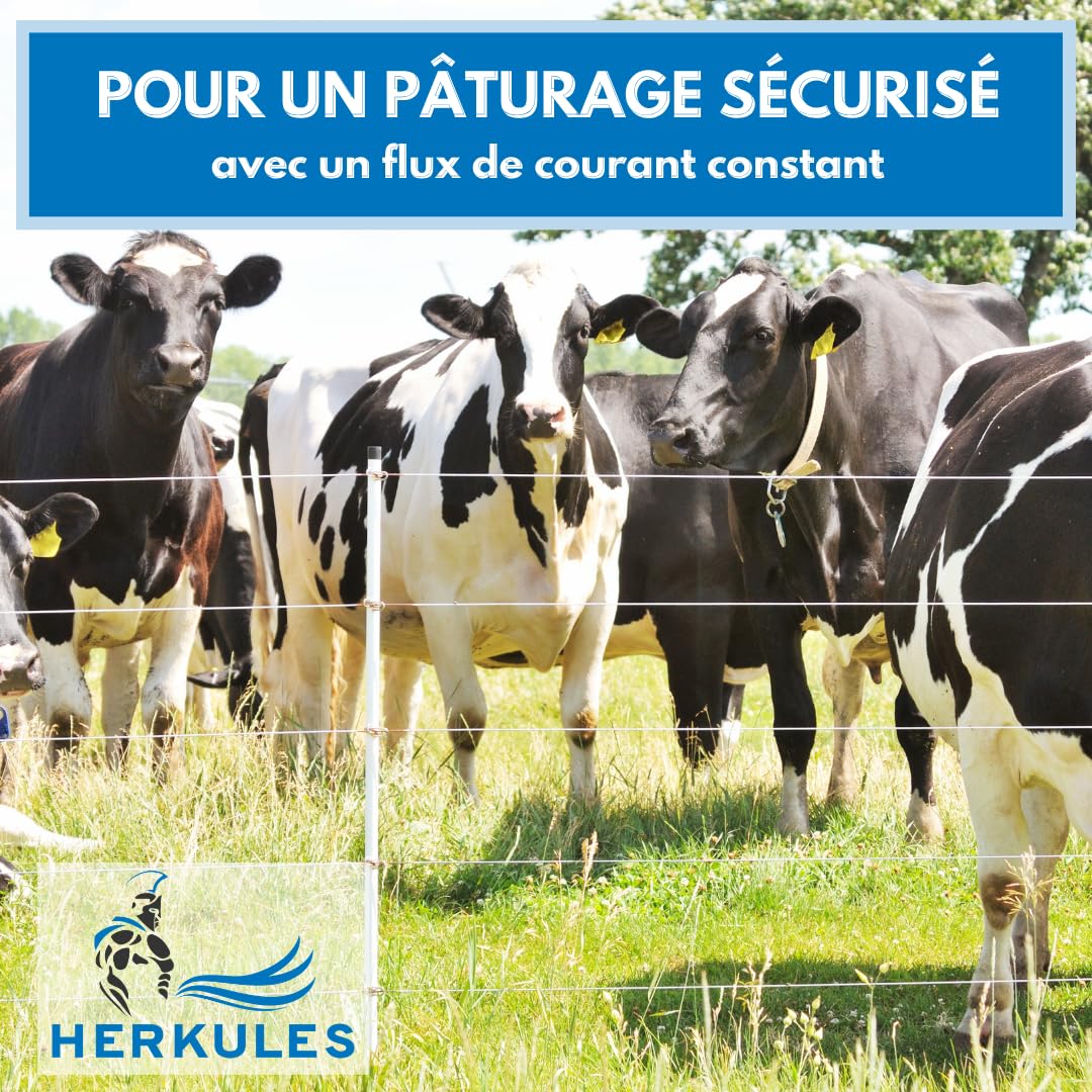 Ruban électrique Herkules Power – Ruban de 300m avec une résistance de 4,5 ohms/m – Ruban robuste conducteurs en acier inoxydable et aluminium – Ruban de 40mm de large tous les types d'animaux