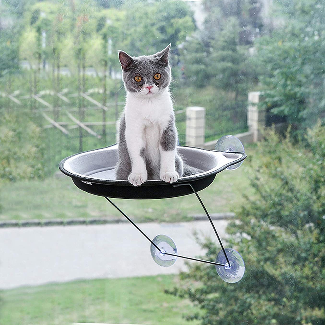 Hamaca para Gato Hamaca Ventana de Gato Cama montada en la Ventana para Gatos Asiento Solar Ventana Hamaca Percha Cojín Cama Estante Colgante Asiento Hamaca para Tomar el Sol Taza de succión Nido co