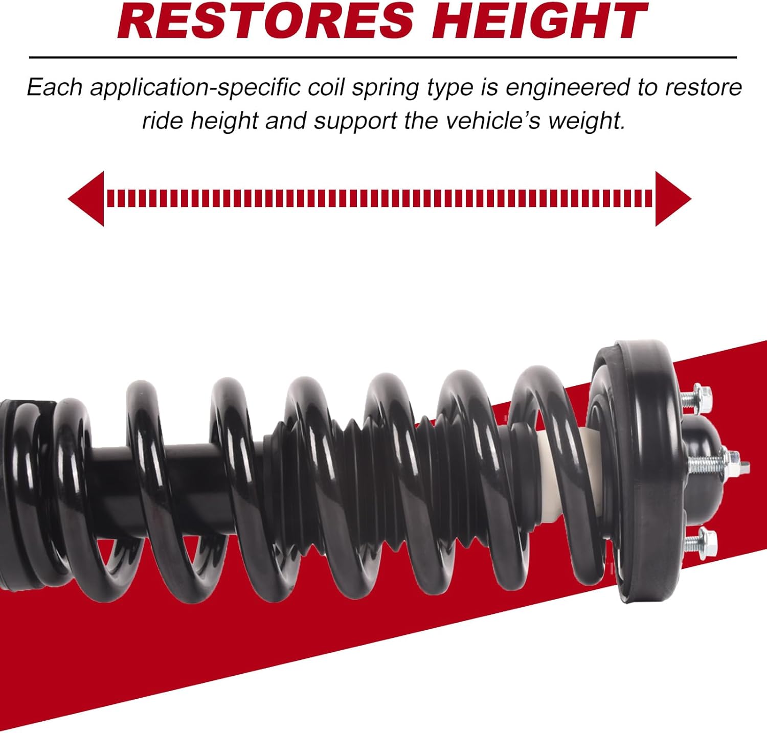 TOPAZ 171361 Front Struts Complete Assembly Replacement for 2004-2008 Ford F-150 4WD, for 2006-2008 Lincoln Mark LT 4WD (Set of 2)