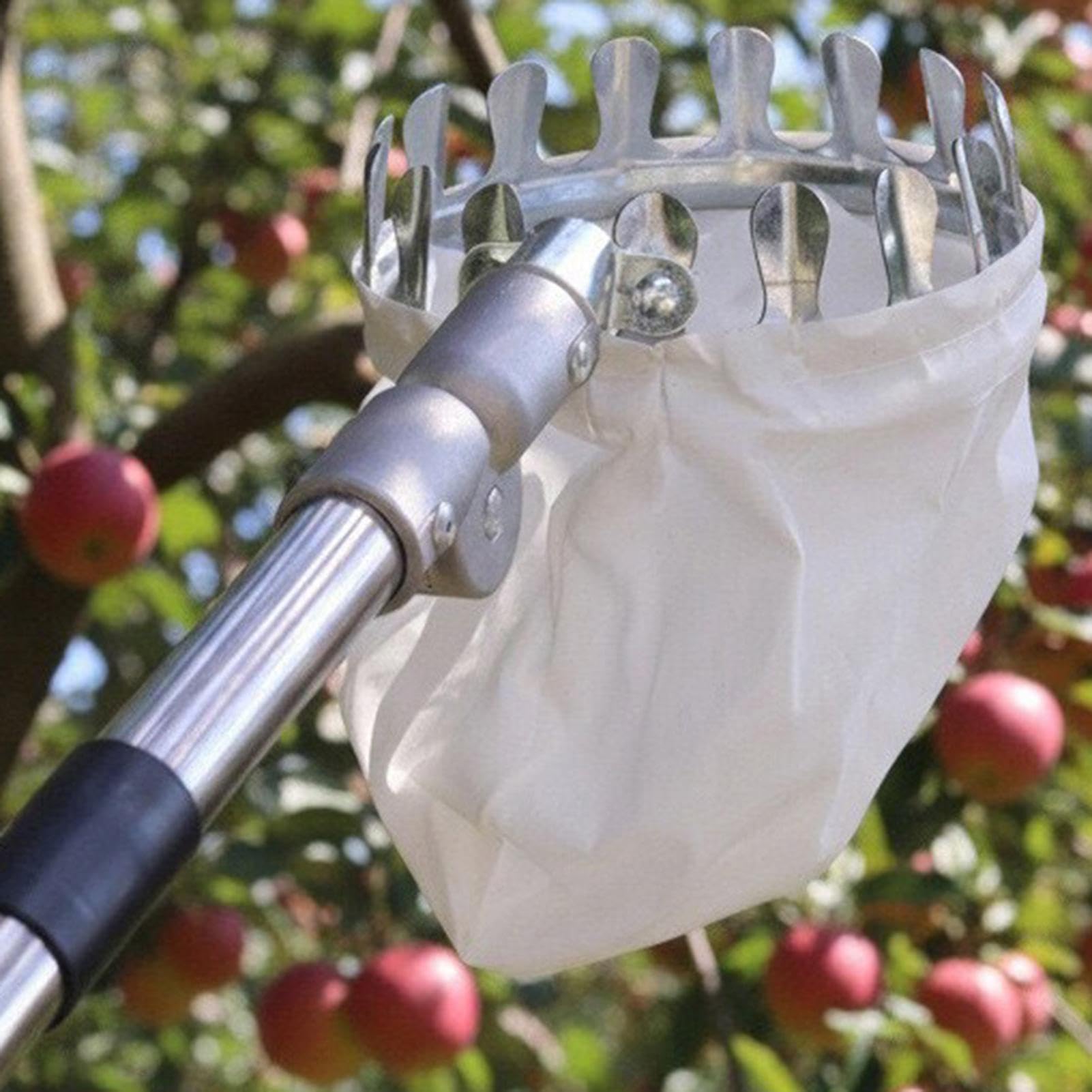 Recolector De Frutas Recogedor Extensible de Acero Inoxidable con Mango