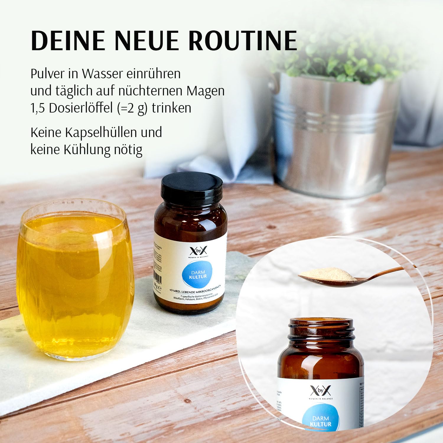 XbyX Darm Kultur 60 g | 30 Portionen | Vegan | Laktosefrei | Glutenfrei | Premium Synbiotikum für die Darmflora | Hochwertige Bakterienkulturen zur Unterstützung der Darmbalance | Aus Deutschland