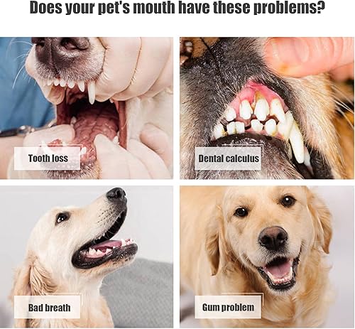 Miniatura 2 de Cepillo de dientes para perros, cepillo de dientes de 3 caras, 4 cepillos de dientes de triple cabeza para perros para el cuidado dental con cerdas