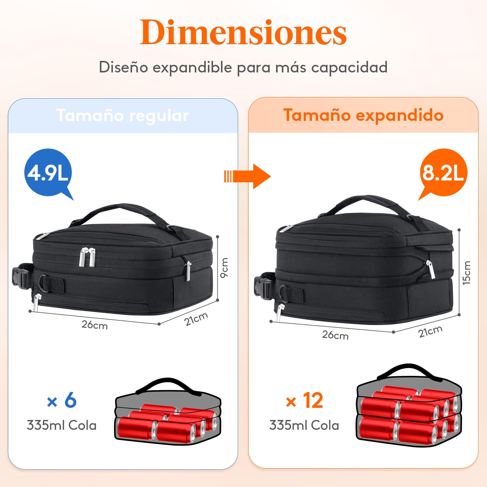 Lifewit Bolsa Termica porta Alimentos Expandible, Nevera Bolsa Comida Trabajo con 2 Bolsas de Hielo, Nevera Portatil Pequeña para Playa, Picnic, Viaje, Negro, 6.5L