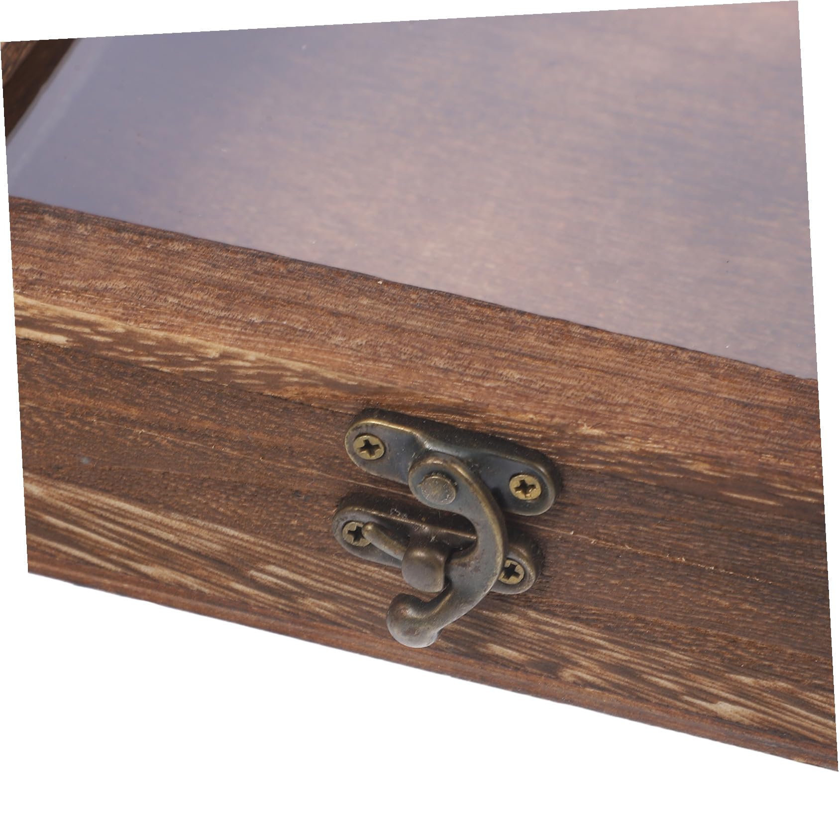TOYANDONA Scatola Espositore per Insetti Ganci in Legno e Acrilico, Stile Retrò, Grande Capacità, Portatile e Sicura per Collezioni di Farfalle e Altri Insetti