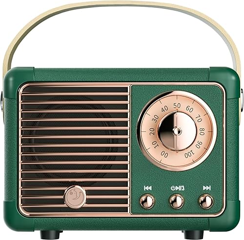 SpringFlora Altavoz Bluetooth retro, bonitos altavoces Bluetooth pequeños, portátiles e inalámbricos para interiores y exteriores, decoración disponible en Yaxa Colombia