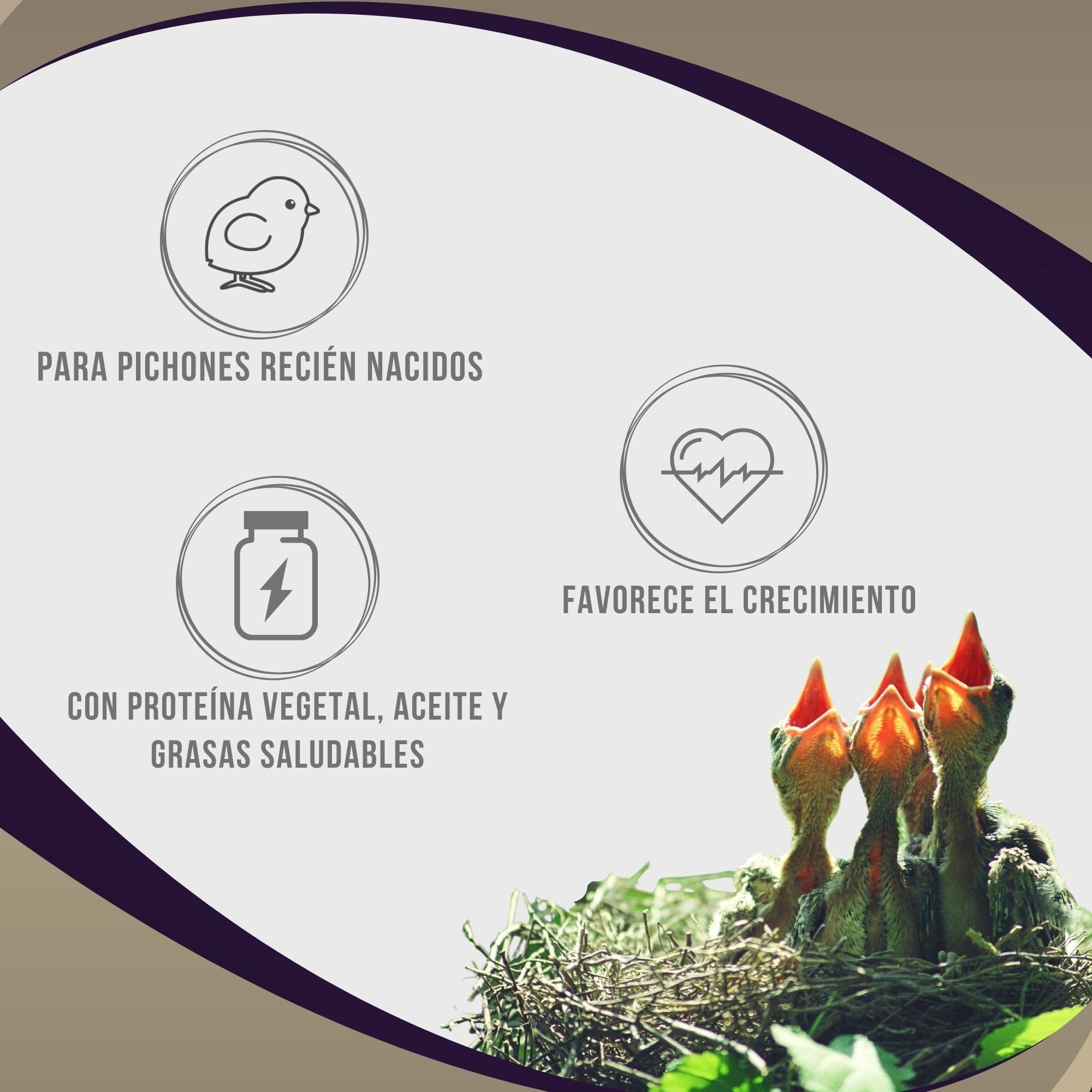 Aviantecnic Papilla Embuche Silvestres | Alimento Complementario para crías de pájaros | 400 g con Jeringa de Embuche Incluida