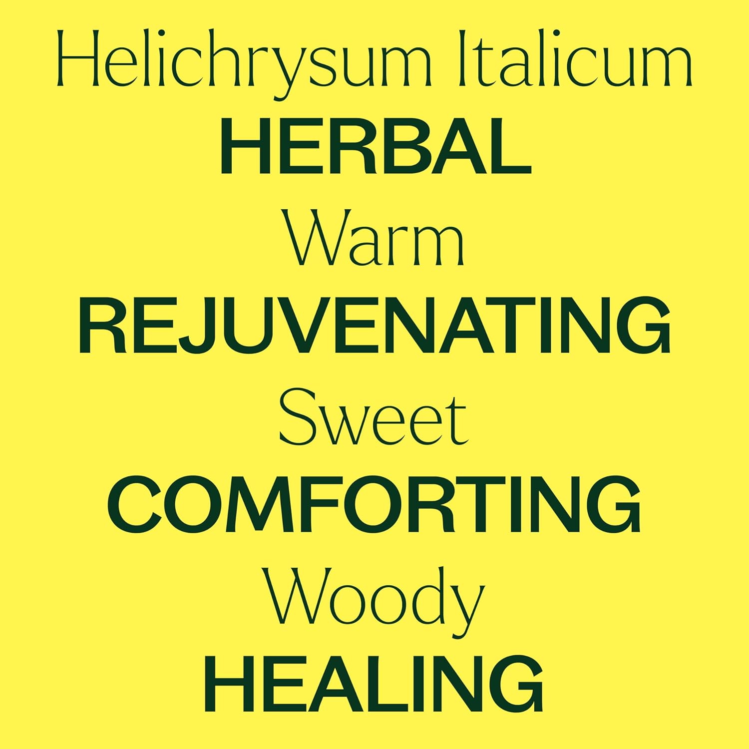 Plant Therapy Organic Helichrysum Italicum Essential Oil 100% Pure, USDA Certified Organic, Undiluted, Natural Aromatherapy, Therapeutic Grade 5 mL (1/6 oz) - Image 4