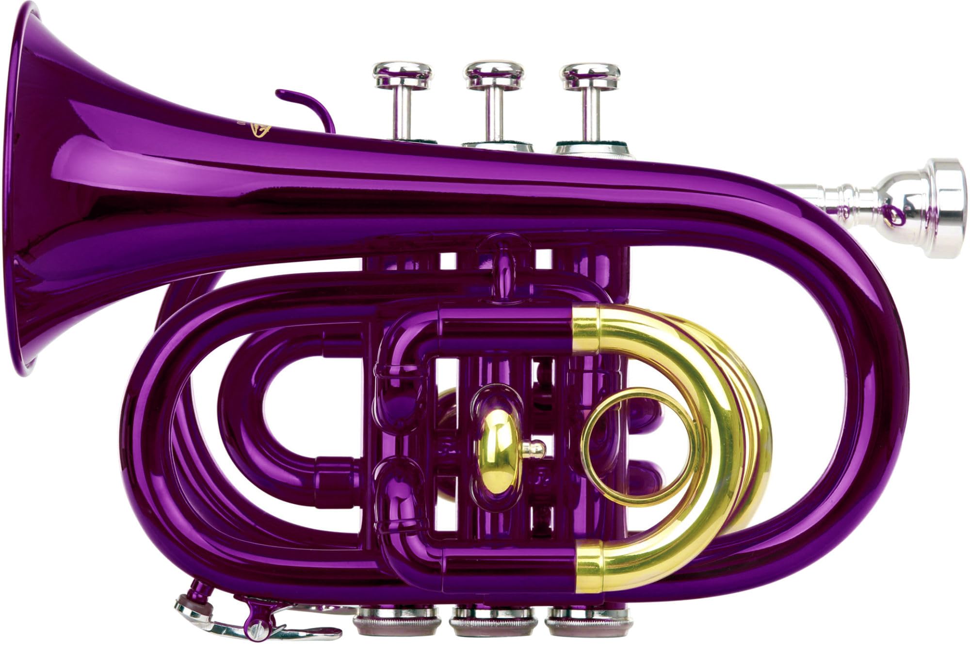 Classic Cantabile Brass TT-400 Trompette de Poche Sib (laiton, pavillon diamètre : 93 mm, perce : 11,8 mm, accord : Sib, incl. étui léger, embouchure, chiffon de nettoyage, gants) violet