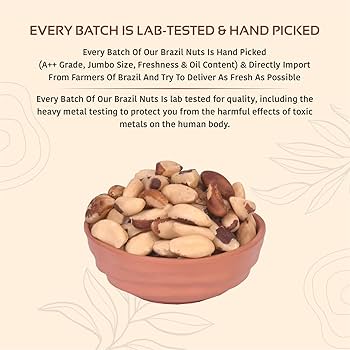 brazil nuts benefits () brazil nuts benefits