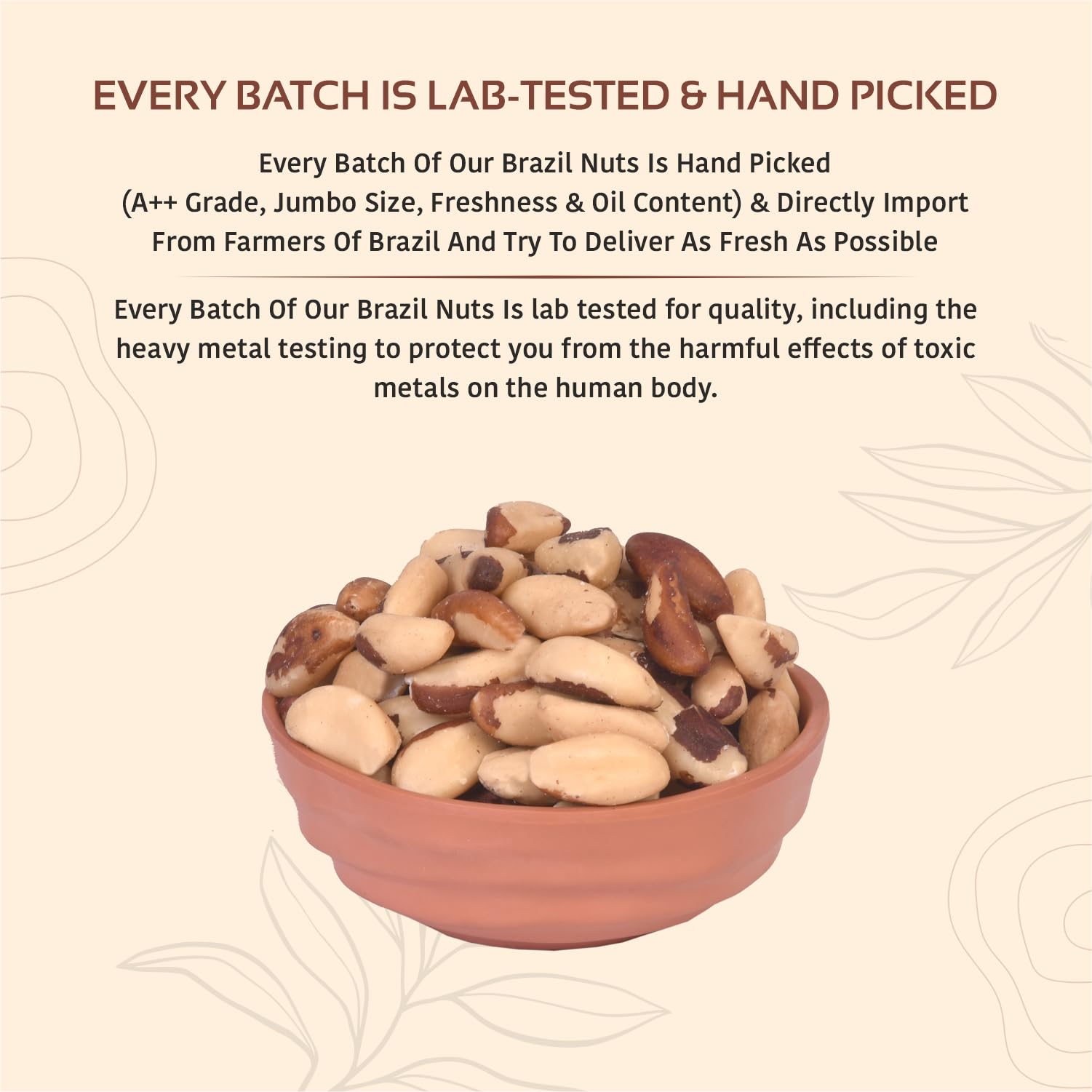 NUTTY ORGANICS Nutty Oraganics Brazil Nuts - 1 Kg (Grade A ++ Nuts, Premium Jumbo Size) - Richest Natural Source Of Selenium (500 Gm*2) - Image 4 thumbnail