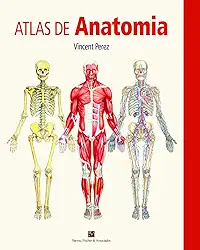Atlas de Anatomia (Volume 1)