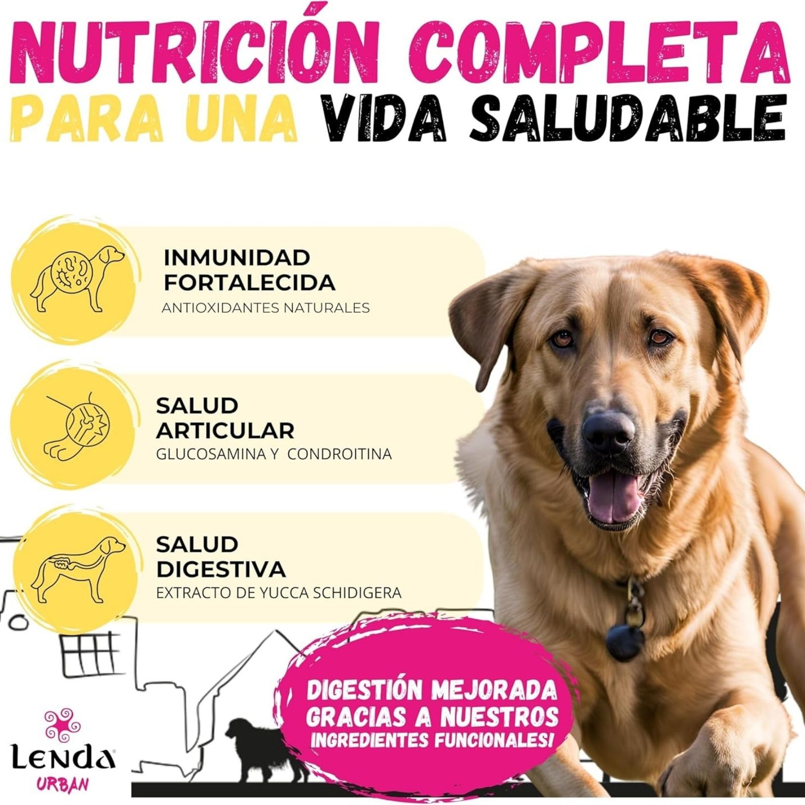Lenda Urban Farm Flavour 15 kg Pollo - Pienso para Perros Razas Grandes y Gigantes - Comida para Perros para Articulaciones Fuertes con Condroprotectores Glucosamina Condroitina y Aceite de Pescado