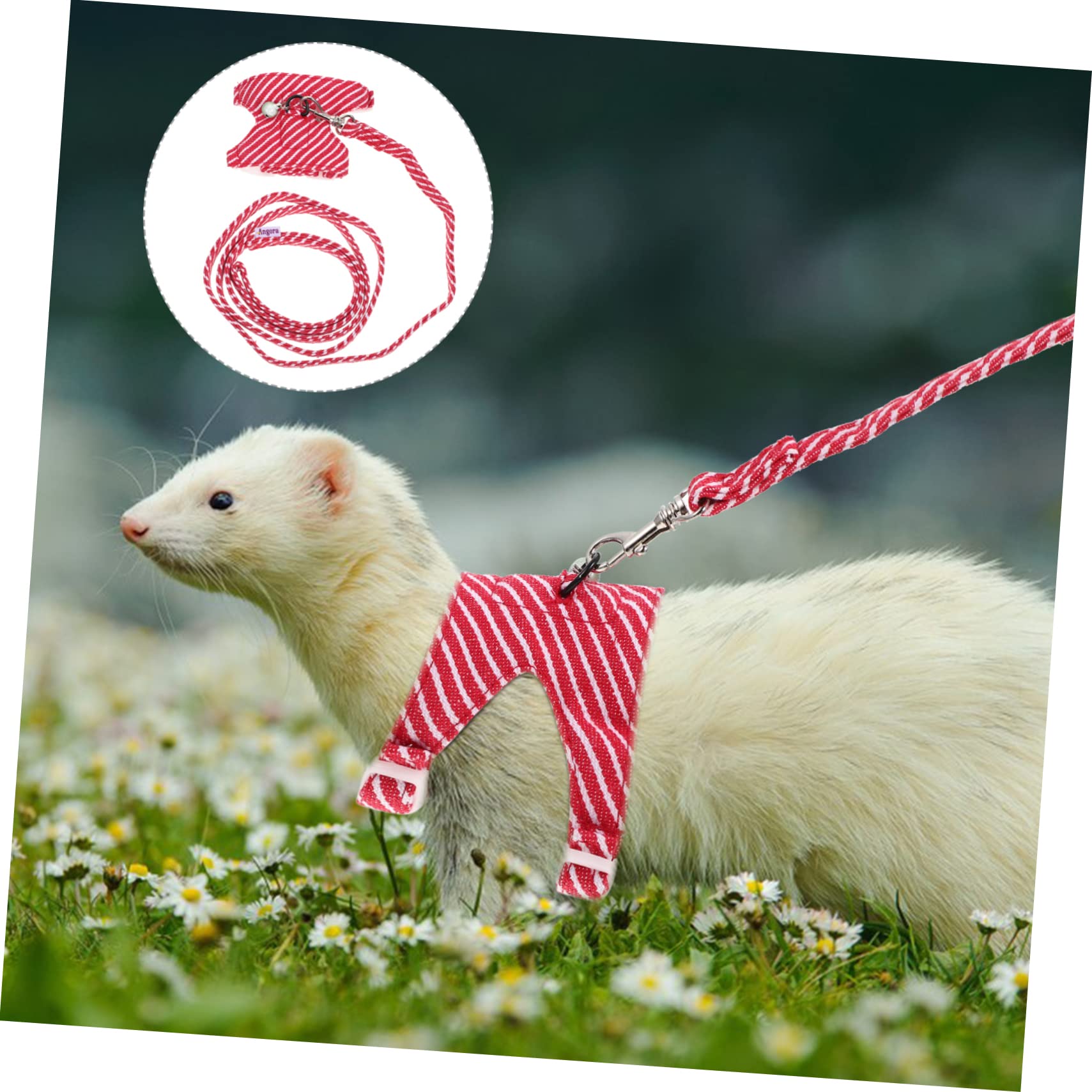 Pettorina Per Furetti E Piccoli Animali - Con Guinzaglio, Regolabile, Morbida, Ideale Per Passeggiate E Fotografia