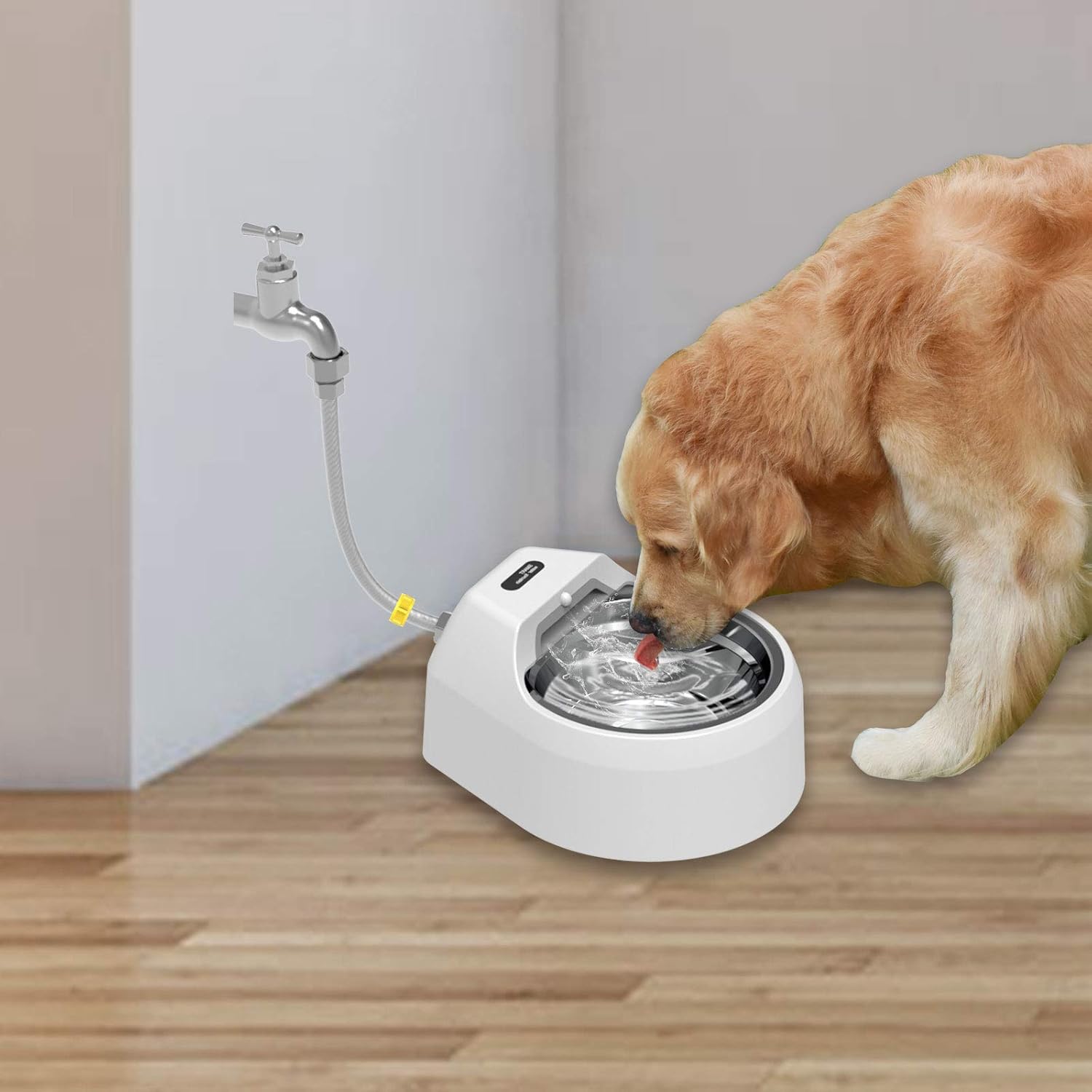 refillable dog bowl