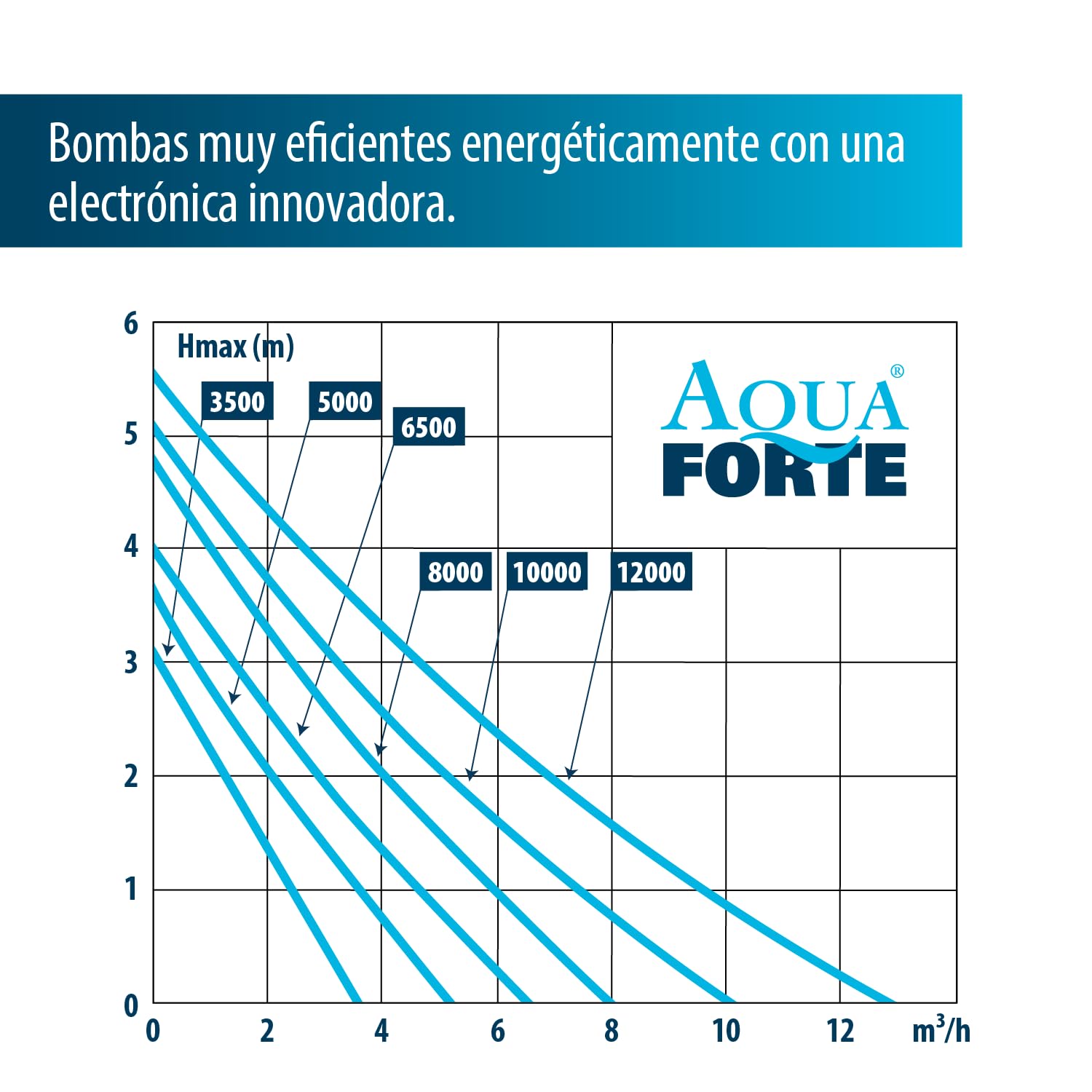 AquaForte Bomba de estanque DM 10000 de bajo voltaje 12 voltios 85 vatios, caudal 10m3 p/h, altura de impulsión 5 m, protección automática contra funcionamiento en seco, longitud del cable 10 m