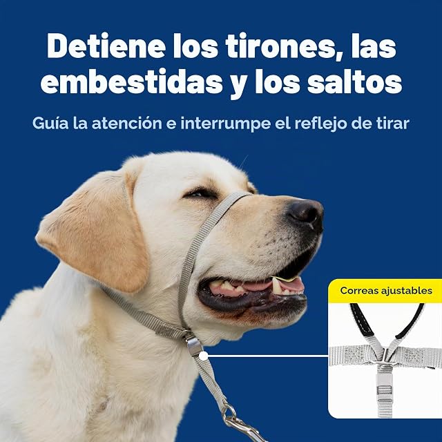 Foto 3 de 8 de PetSafe Collar de Cabeza DVD de Entrenamiento (Idioma español no garantizado)