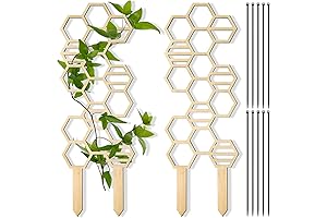 2 Pcs Indoor Plant Trellis for Climbing Plants