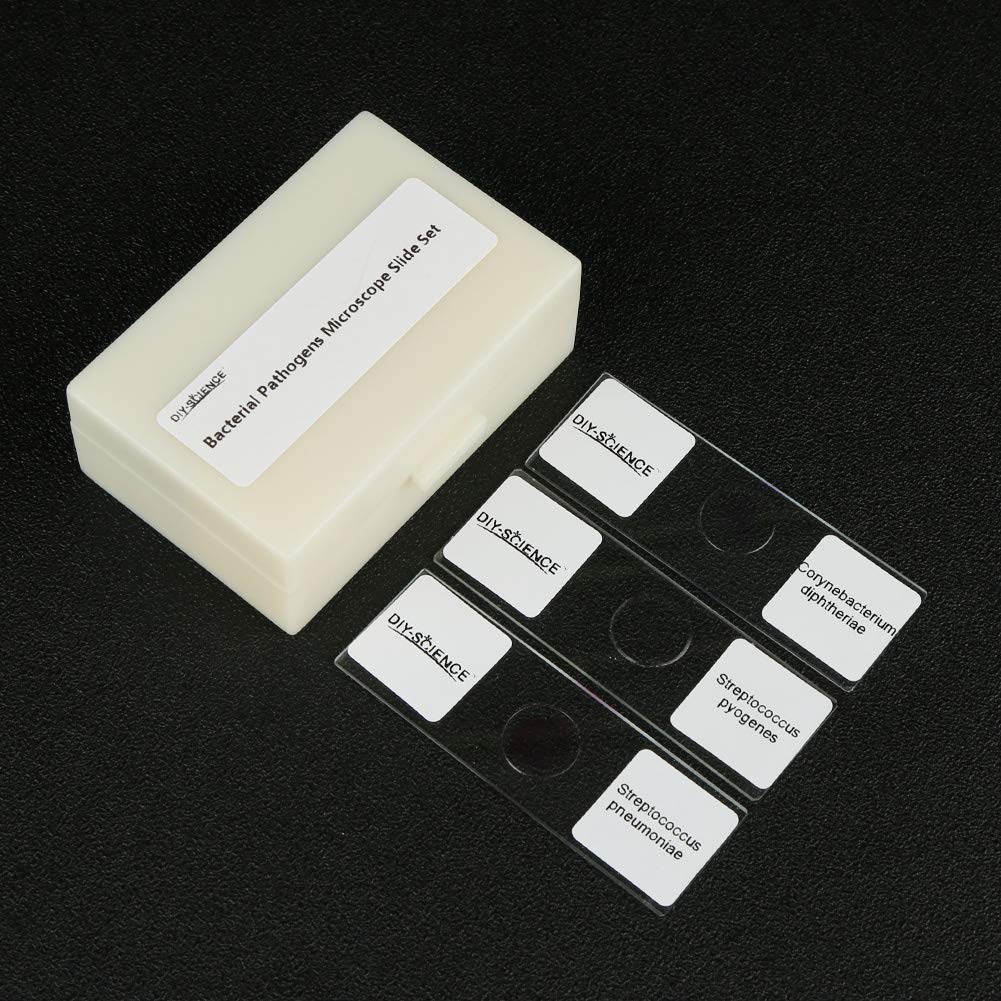 Prepared Bacterial Pathogens Microscope Slide Set, 12pcs Demonstrates The Bacteria Pathogens Responsible for Diseases of Animals