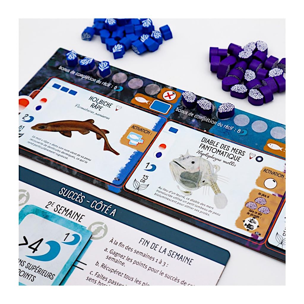 Finspan Squali e Barriere - Estensione Gioco da tavolo Strategia Oceano FR