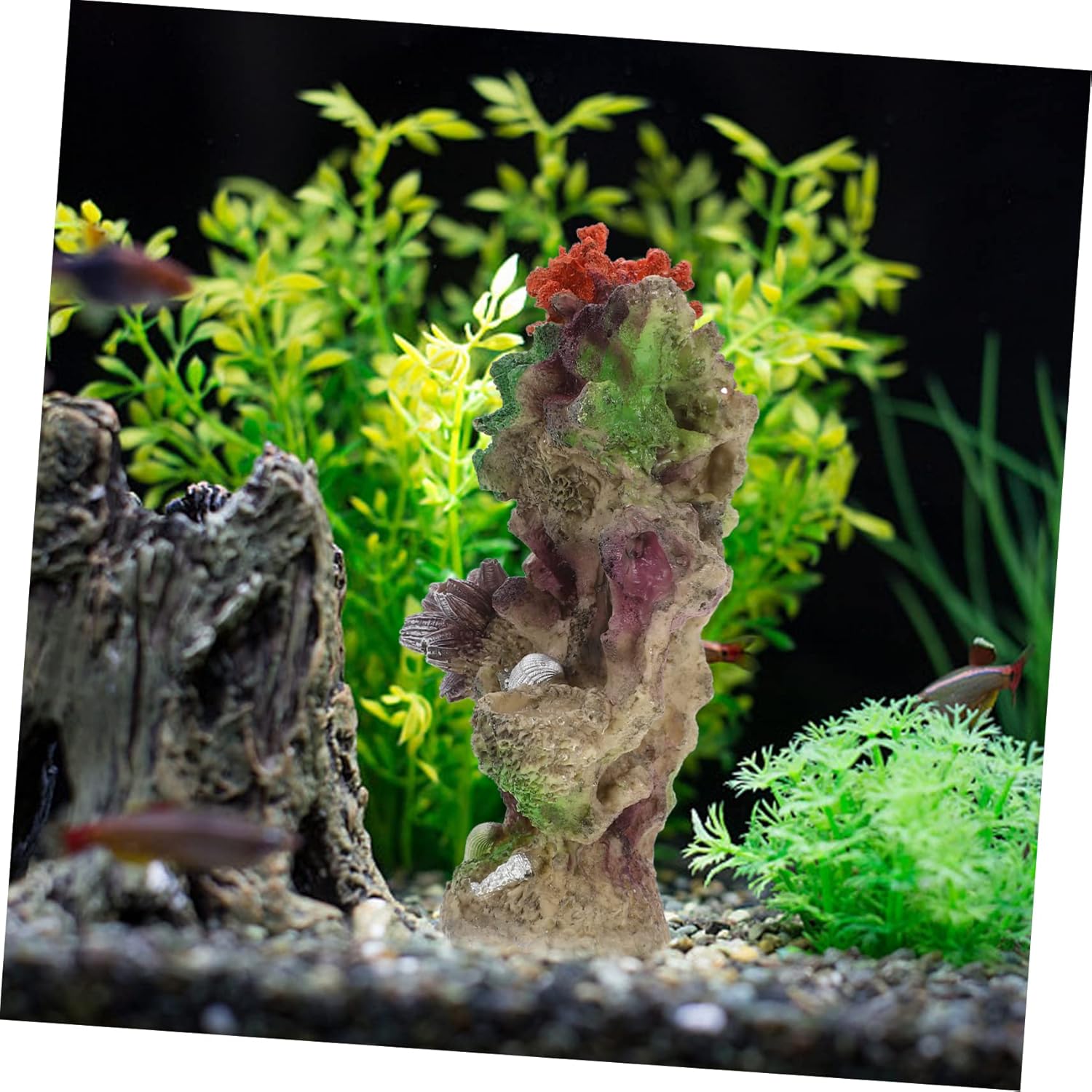 Housoutil 5pcs Vivid Aquarium Ornaments Wear-Resistant Fish Tank Decor Delicate Coral Decor Set Your Fish Tank