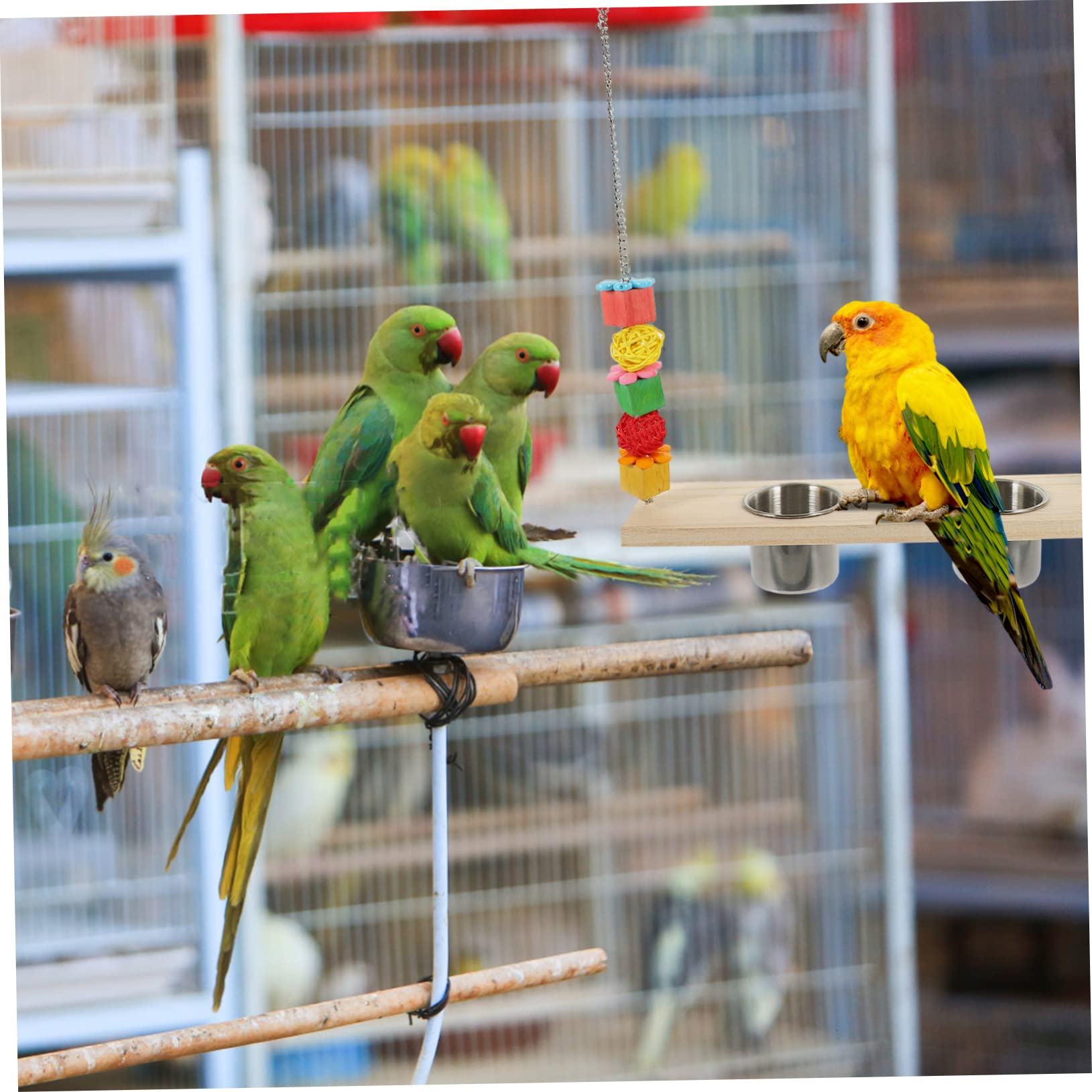 BESPORTBLE 2pezzi Giocattolo Per Pappagalli Con Altalena e Ciotola Per Cibo Accessorio Per Uccelli Naturale Alimentatore e Gioco Per Pappagalli Parakeet e Finches