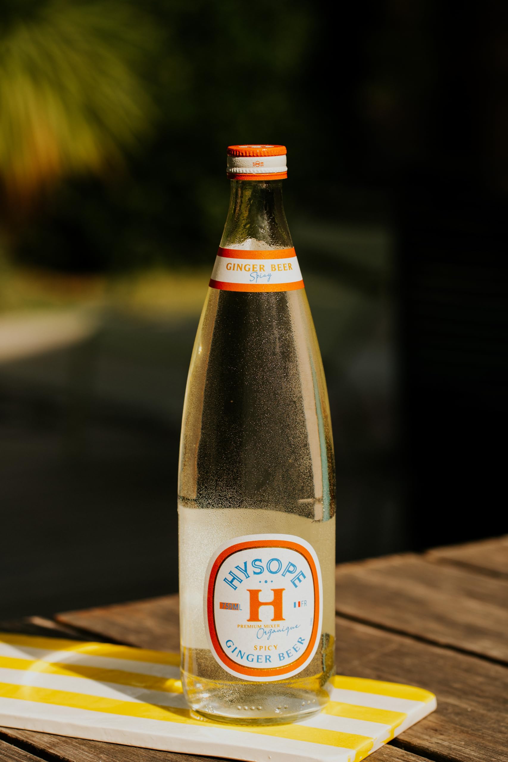 HYSOPE Ginger Beer Spicy – Origine France – Premium Mixer Bio – Idéal en cocktail - Notes de gingembre corsé & pointe de piment - 6 x 75cl