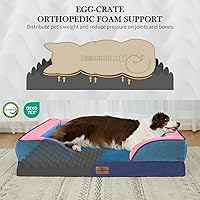 Vista 458 de Comfort Expression - Cama ortopédica para perros extragrandes, 53 x 42 pulgadas, cama impermeable y de apoyo de espuma con cojines removibles