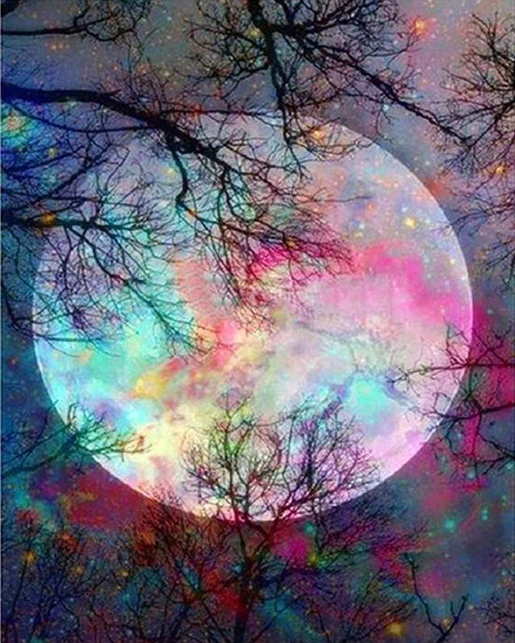 WOWDECOR Paint by Numbers for Adults Beginner, Number Painting - Starry Moon Night Trees 40x50 cm - Wall Art Gifts (Frameless)