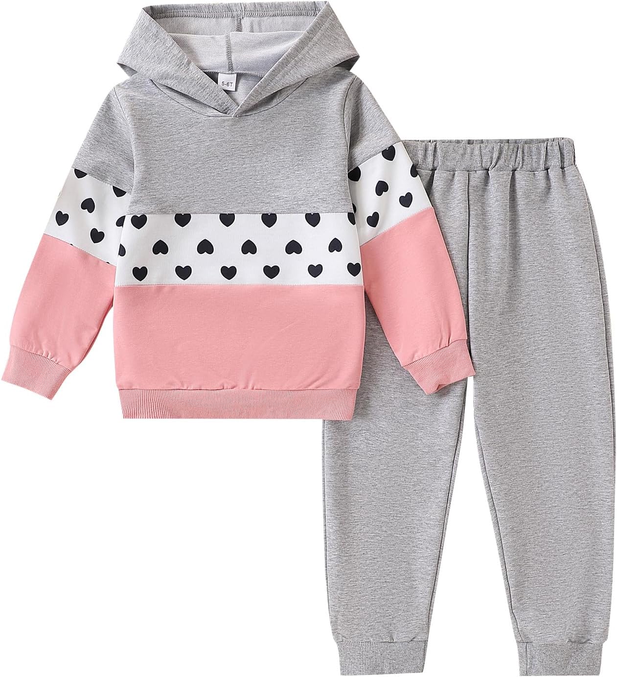 Toddler Kid Girls Clothes Colorblock Hoodie Leopard Print Sweatsuits Top 2PC Fall Outfit Set