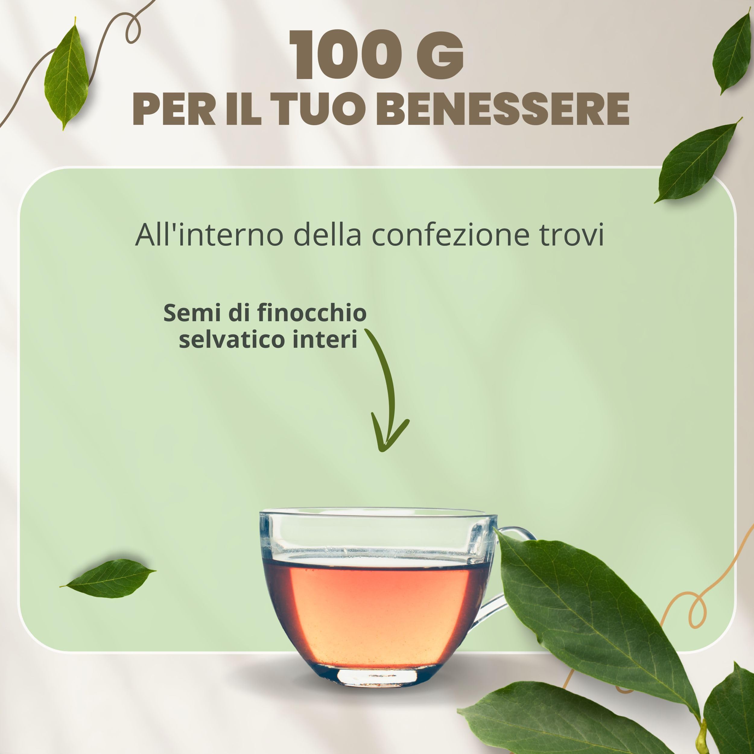 PATRIZIO BRESEGHELLO - Semi Finocchio Frutti Verdi Extra 100 g per Benessere Intestinale e Digestione - Semi di Finocchio per Tisana e Infuso 100% Naturali
