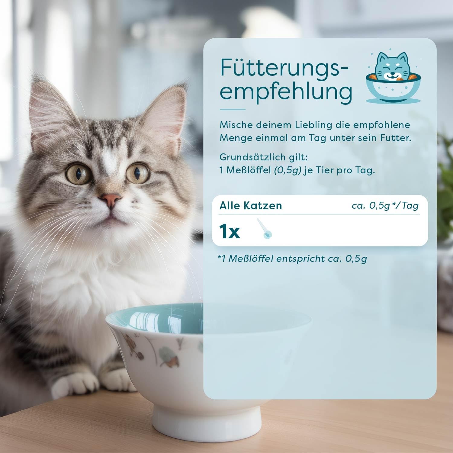 Dr. SAM Premium Darmpulver für Katzen - BellyLove Cat als pflanzliches Darm- und Magenpulver für Balance im Darm - unterstützend bei Magen-Darm-Erkrankung - hochdosiertes Probiotikum 45g