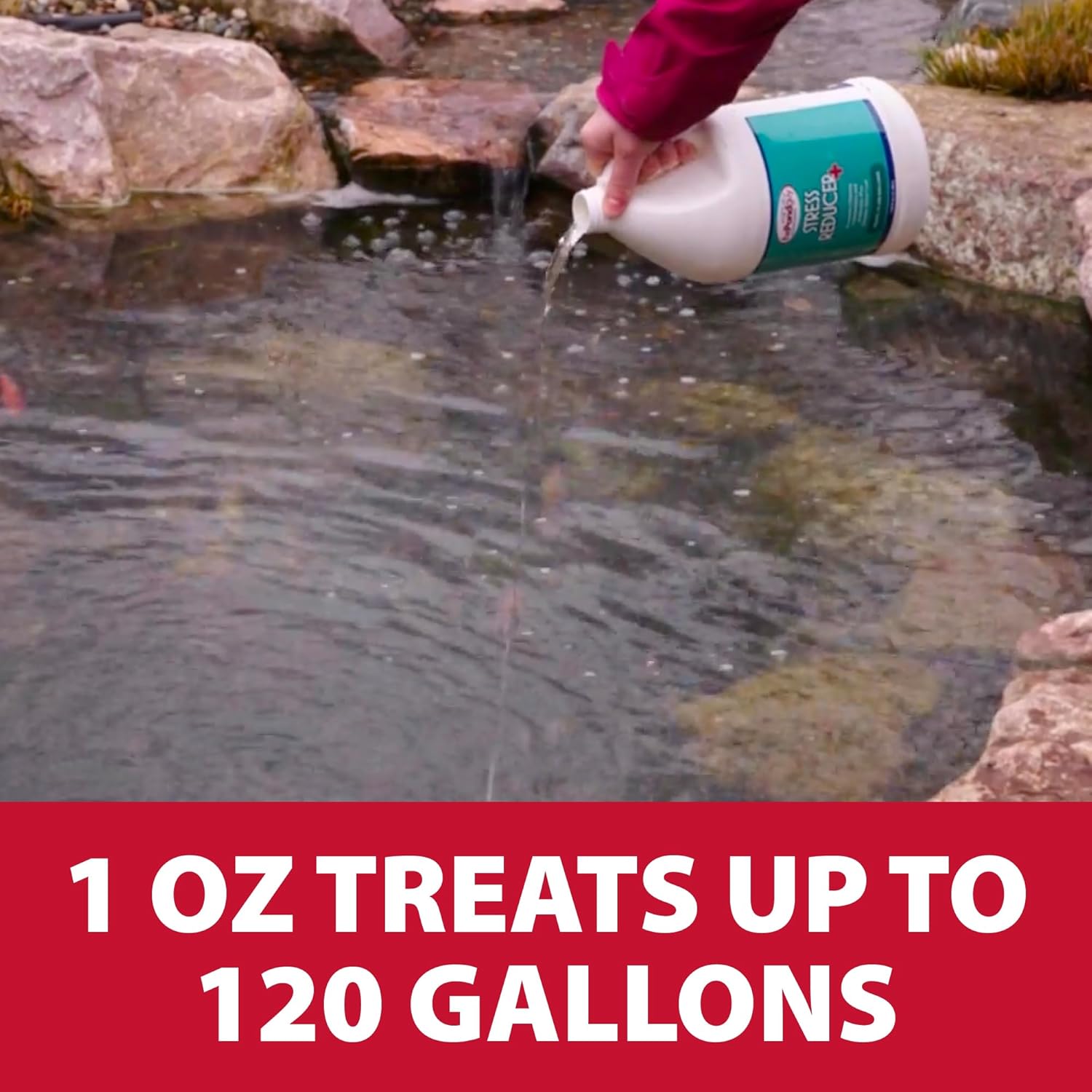 The Pond Guy Stress Reducer Plus, Remove Chlorine, Chloramine & Ammonia from Water, Maintain Fish Health & Protect Slime Coat, Easy Treatment, 1 Gallon