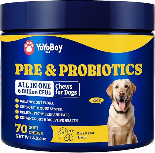 Probiotics 1 probiotic