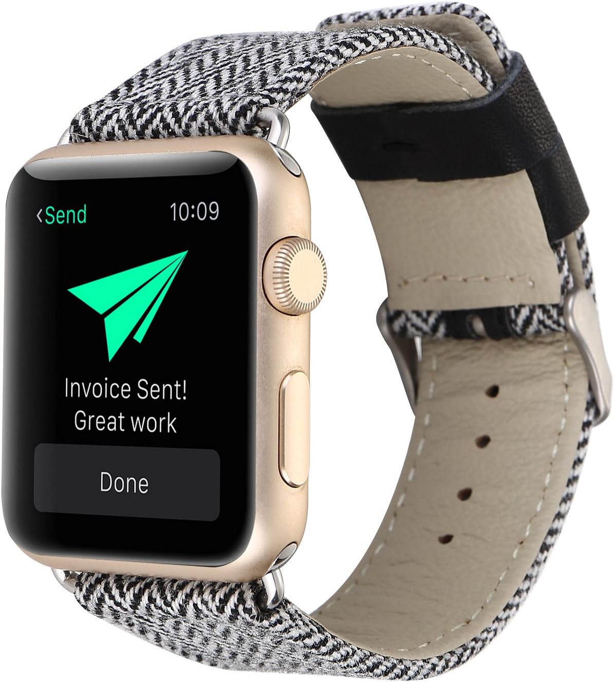 WonderKathy Stripe Pattern Canvas Woven Fabric Compatible for Apple Watch Band 38mm with Adjustable Metal Clasp Compatible for Watch Series 3, 2, 1, Sport &Edition