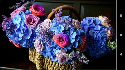 1048 Flowers Wallpapers