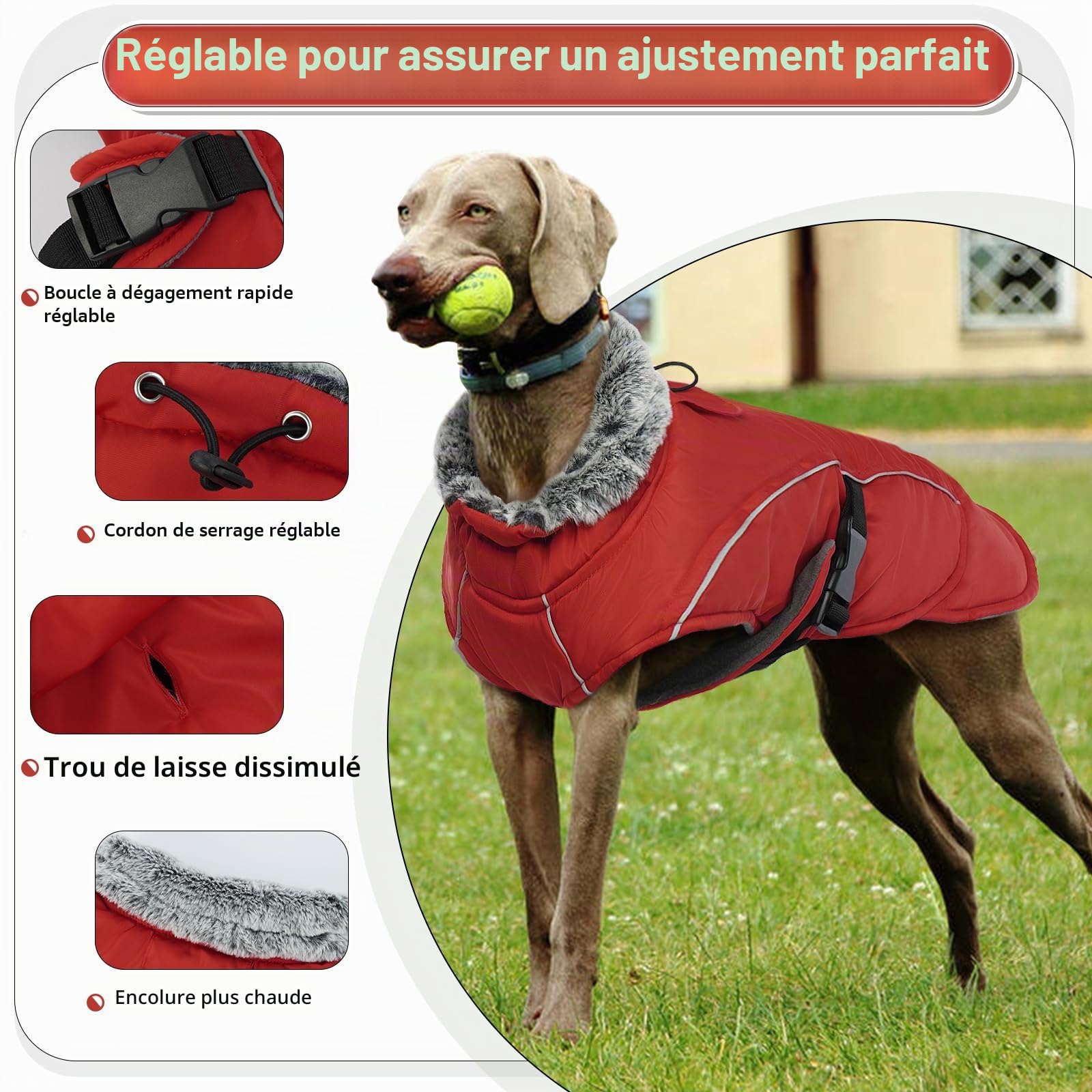 Manteau Polaire Chien, Doudoune Chien Manteau Petite Chien Réfléchissant Peluche avec Col en Fourrure Veste d'hiver Vêtement Confortable pour Petits Moyens Grands Chiens(Rouge, XL)