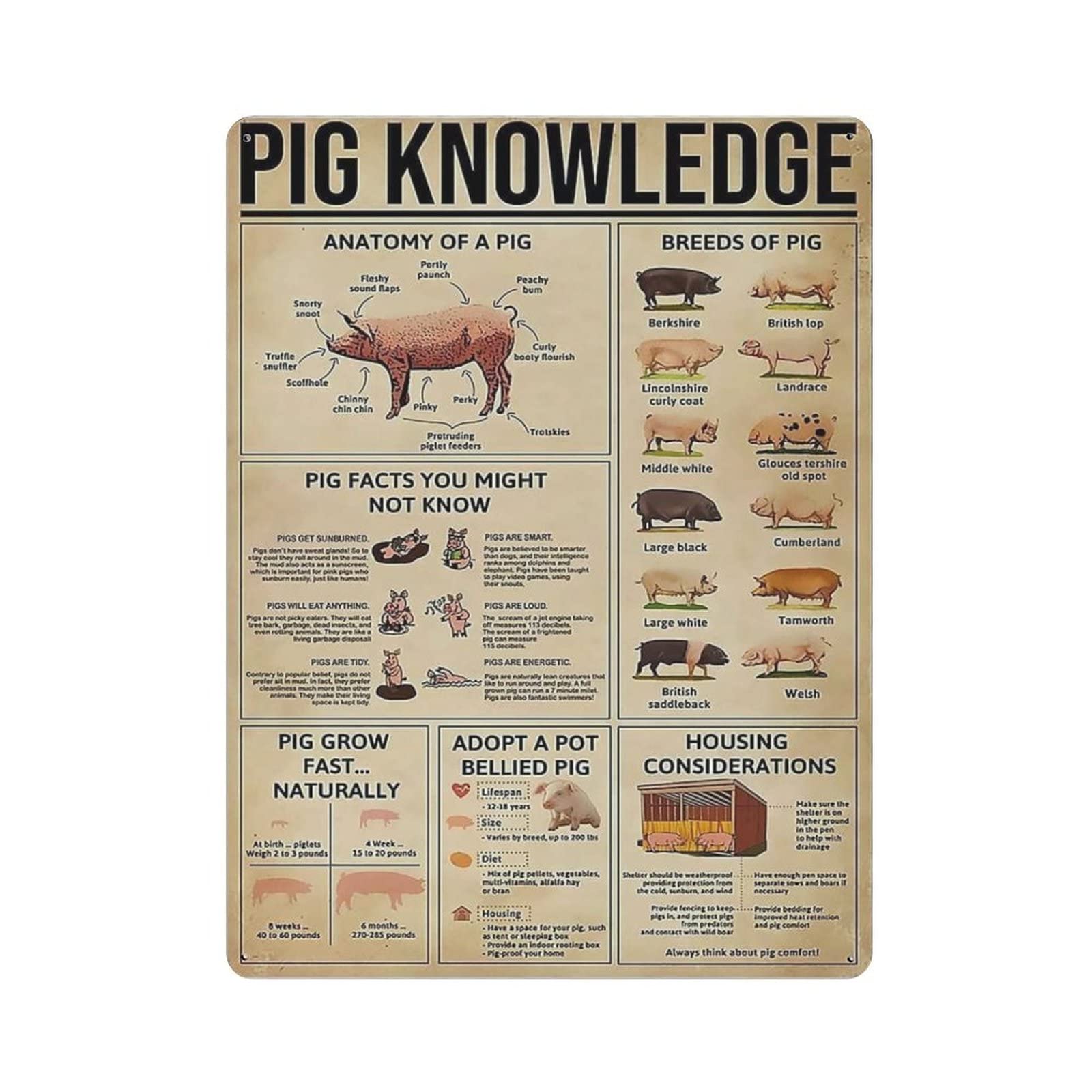 AOOEDM Pig Knowledge Vintage Tin Sign Metal Tin Signs for Man Cave Funny Art Wall Plaque Kitchen Bar Pub Coffee Shop Wall Decor