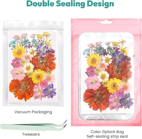 Vista 155 de Resiners - Flores secas, 100 piezas de flores prensadas para manualidades, color amarillo, flores secas naturales, kit de hojas secas