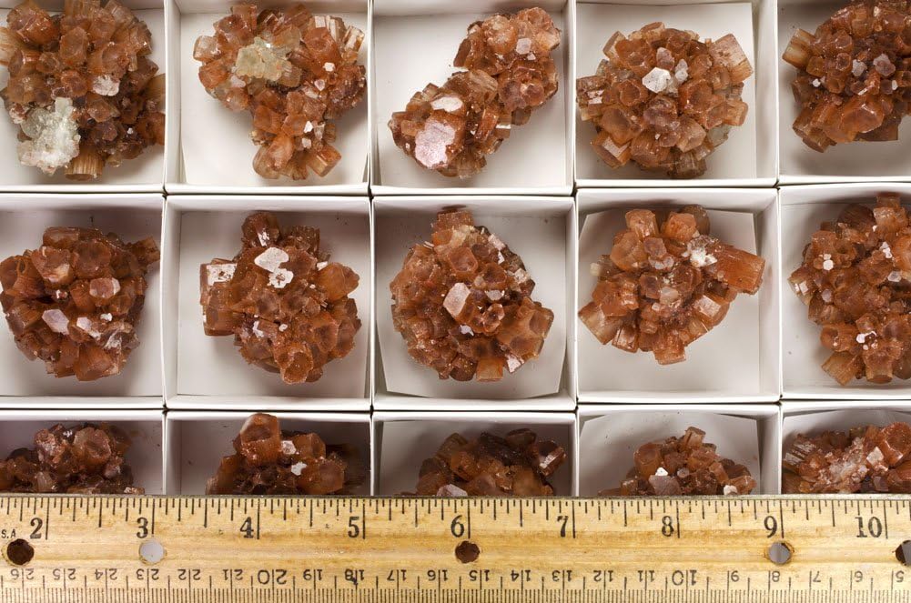 Fantasia Materials: 5 pcs Large Aragonite Crystal Specimens - Avg 2" Size - Raw Aragonite Stone Specimens for Collecting, Wire Wrapping, Wicca and Reiki Crystal Healing *Wholesale Lot*
