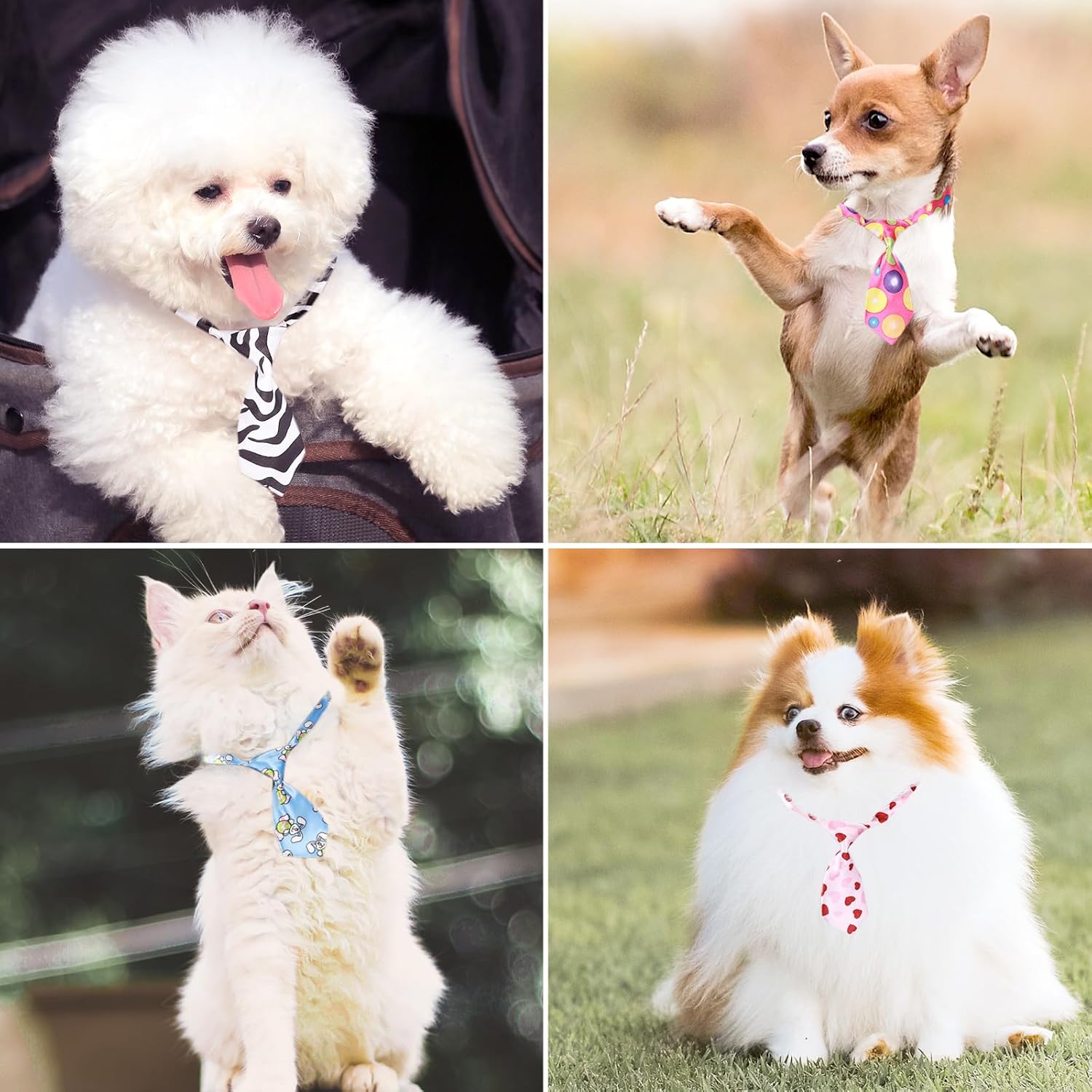 Segarty 60 PCS Small Dog Ties, Assorted Pattern Adjustable Pet Bow Ties for Small Dogs Bows Cats Grooming Bowties Puppy Neckties Festival Party Valentine Photography Birthday Gift Holiday Costumes