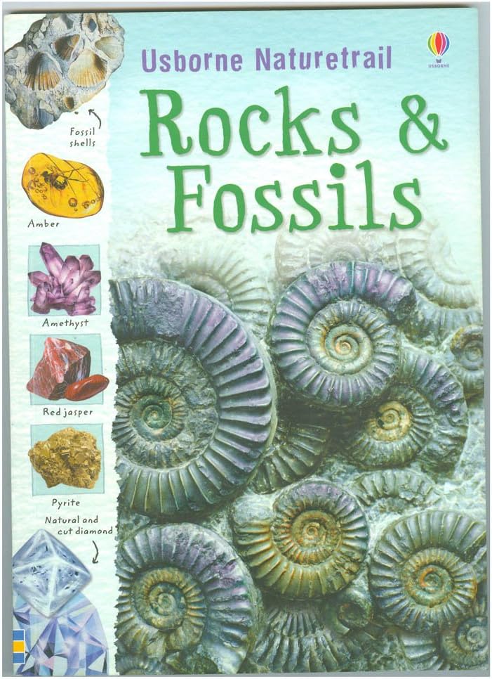 Rocks and Fossils: 1 (Naturetrail)