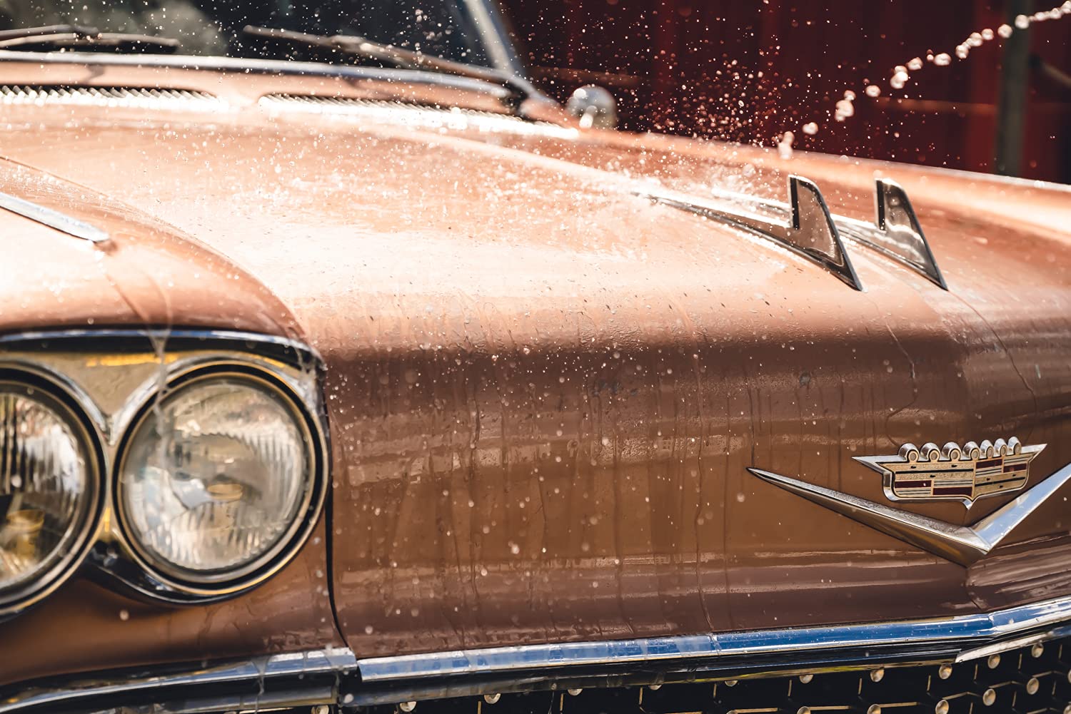 detailmate Meguiars - Set de lavado y cuidado para el coche Meguiars: cubo de lavado 5GAL + champú Wash & Wax 1420 ml + cera de cerámica híbrida 768 ml + herramienta de lavado de cubo Grit Guard