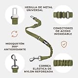 Ver la foto 5