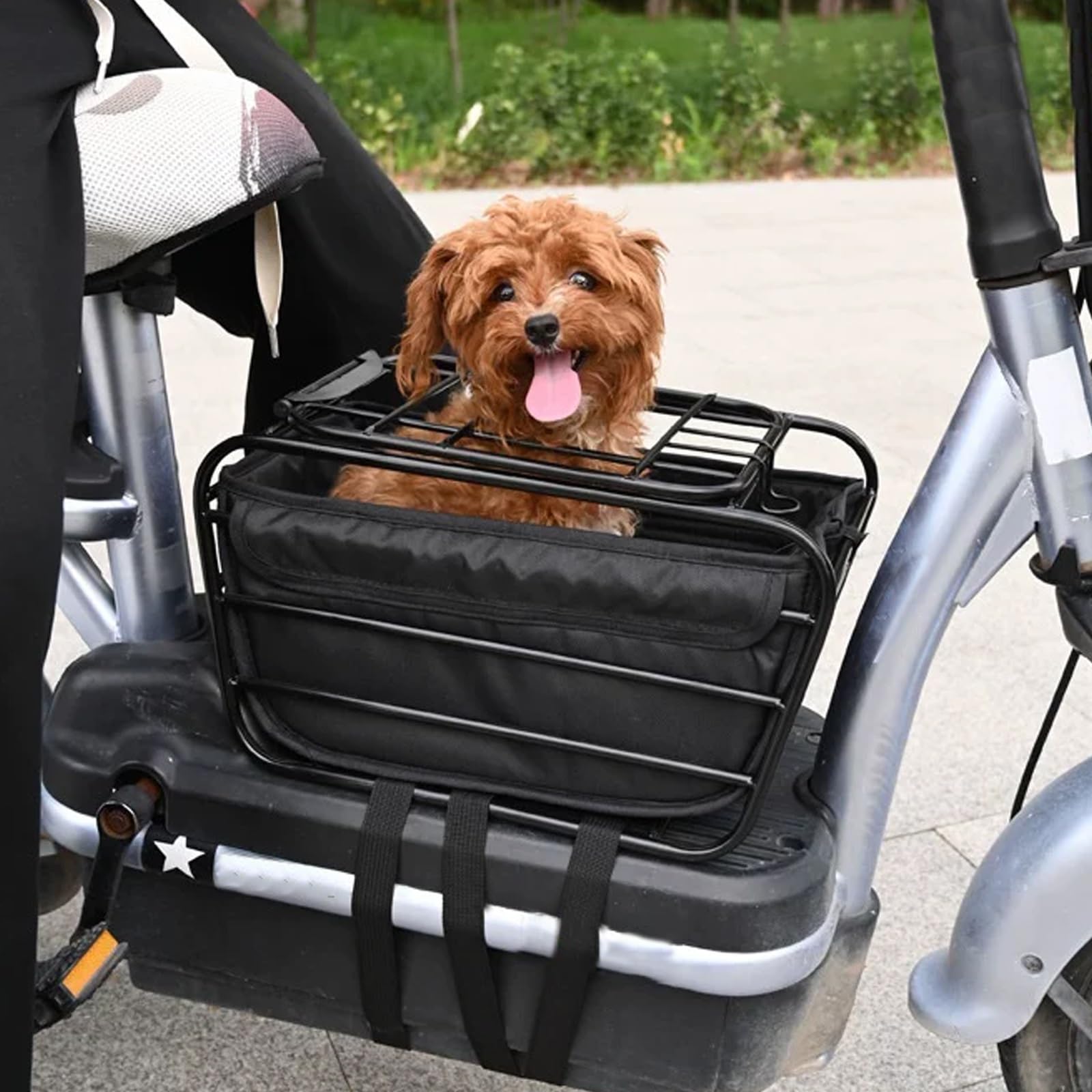 Transportin Perro Pequeño hasta 10 Kg Estructura Metálica Forro Desmontable