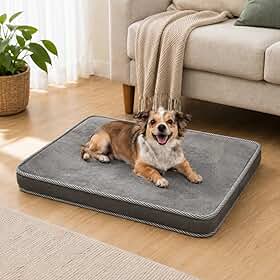 Colchão Pet Ortopédico Cinza para Cães e Gatos, Cama Tipo Colchonete com Espuma de Alta Densidade para Descanso Diário(P)