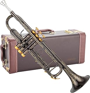 SDTR-2019B Engraved Nickel and Gold Trumpet